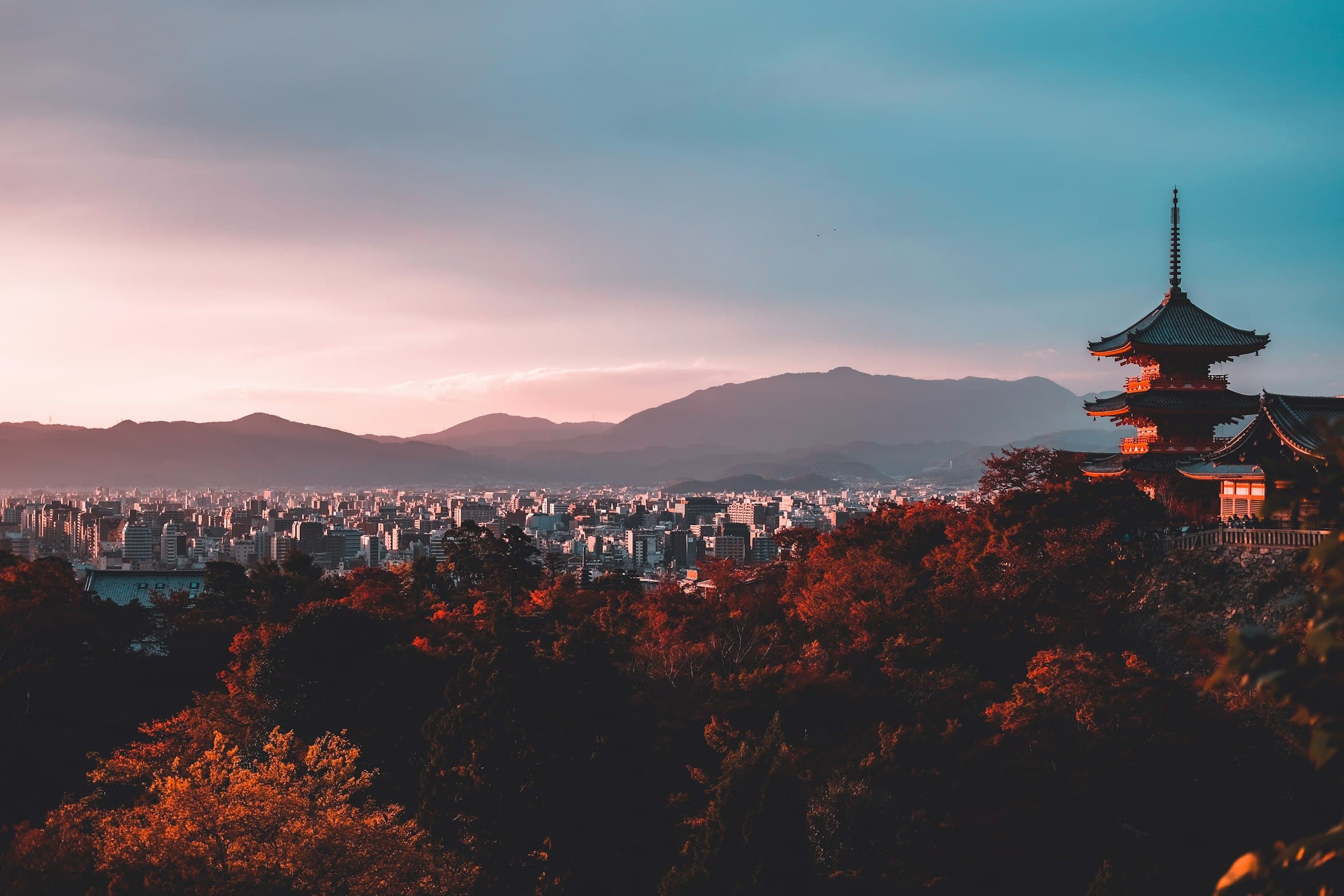 Japonya turu — Fuji Dağı önünde sakura ağaçları
